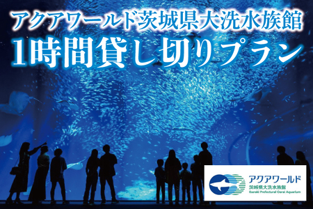 【仮予約必須】 アクアワールド 茨城県 大洗 水族館 貸し切り プラン (3時間) プロポーズ ウェディング フォト ユニークベニュー ショートプラン 貸切_BR005