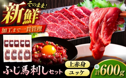 ふじ馬刺し 600g セット 3994 / 馬刺し ばさし 上赤身 ユッケ 食べ比べ うま ばにくおすすめ  冷凍 馬肉 赤身 熊本県 菊陽 九州 新鮮 たれ付き 生姜付き あっさり贈答 贈り物  晩酌 おつまみ お祝い おもてなし 名物 人気 小分け セット フジチク 専門店【株式会社フジチク】 [BHAD130]