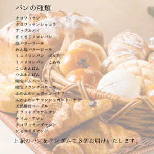 パン 定期便 天然酵母パンドミーとこだわりパン（３回）【R-14】