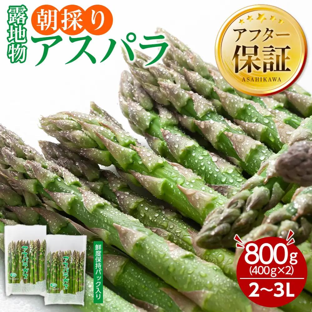 高評価★4.8 【先行予約】露地物朝採りアスパラ 2L～3Lサイズ800g（400g×2）鮮度保持フィルム入り(5月中旬発送開始) | アスパラ 北海道_01593