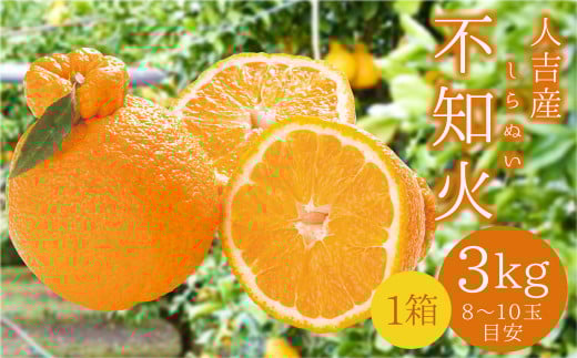 人吉産 不知火（しらぬい）3kg フルーツ 果物 くだもの 柑橘 デコポン でこぽん お取り寄せ【2026年1月上旬～2月上旬発送予定】