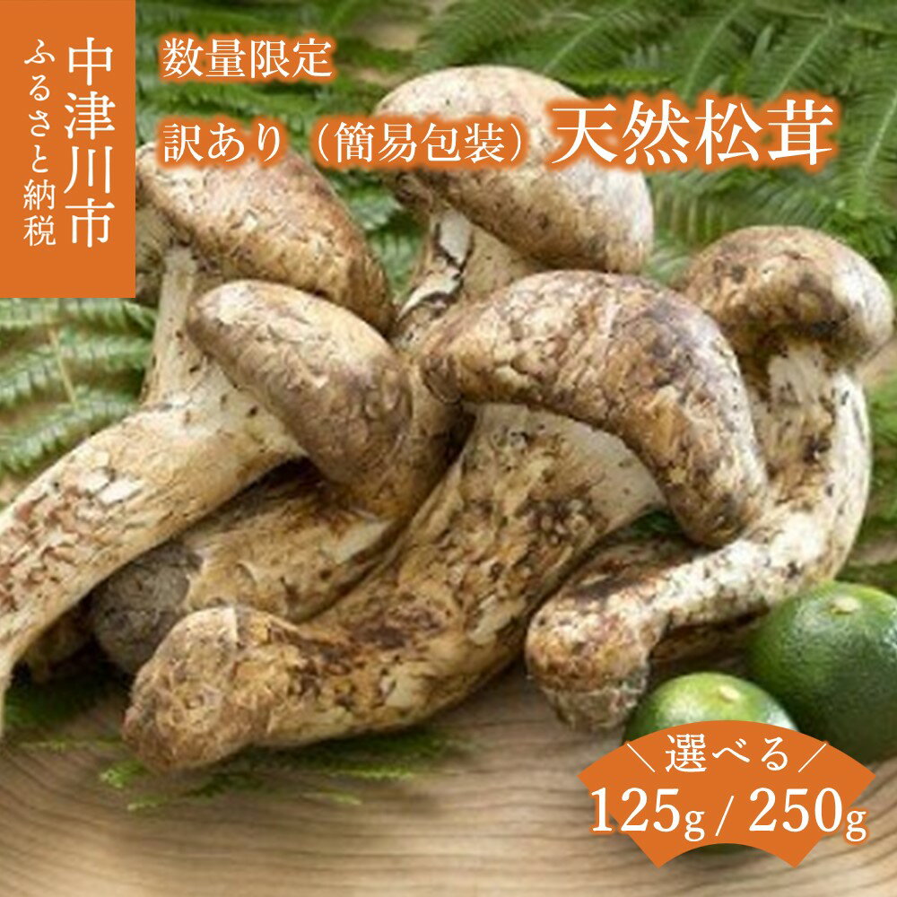 【ふるさと納税】【数量限定】天然松茸 量が選べる (125g / 250g) 松茸ご飯、焼き松茸、土瓶蒸しなど 訳あり（簡易包装） F4N-2520var