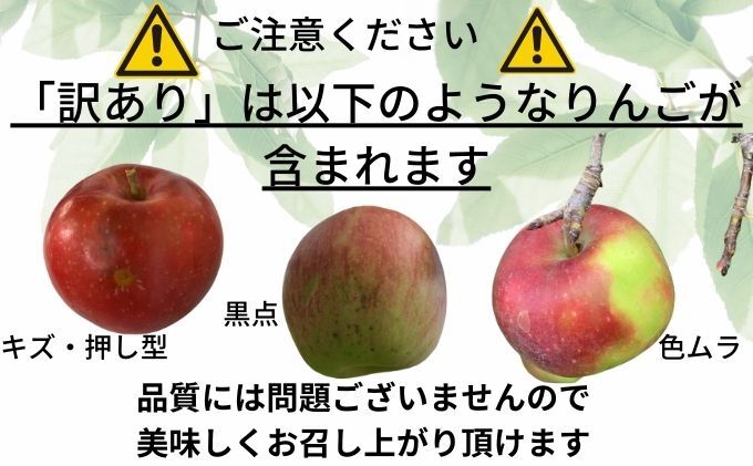 4月発送CA貯蔵 【訳あり】 家庭用 百年木の香 サンふじ 約5kg 有機肥料100％【弘前市産・青森りんご】