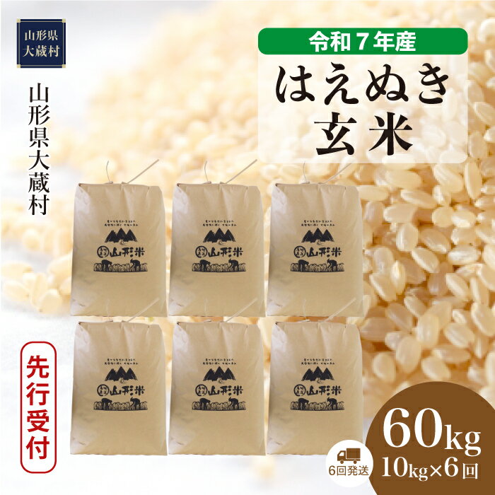 【ふるさと納税】＜令和7年産米先行受付＞ 大蔵村 はえぬき ＜玄米＞ 60kg 定期便（10kg×6回お届け）