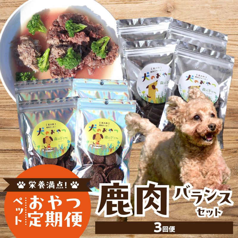 【定期便】栄養満点！ペットおやつ定期便 鹿肉 バランスセット 【全3回】