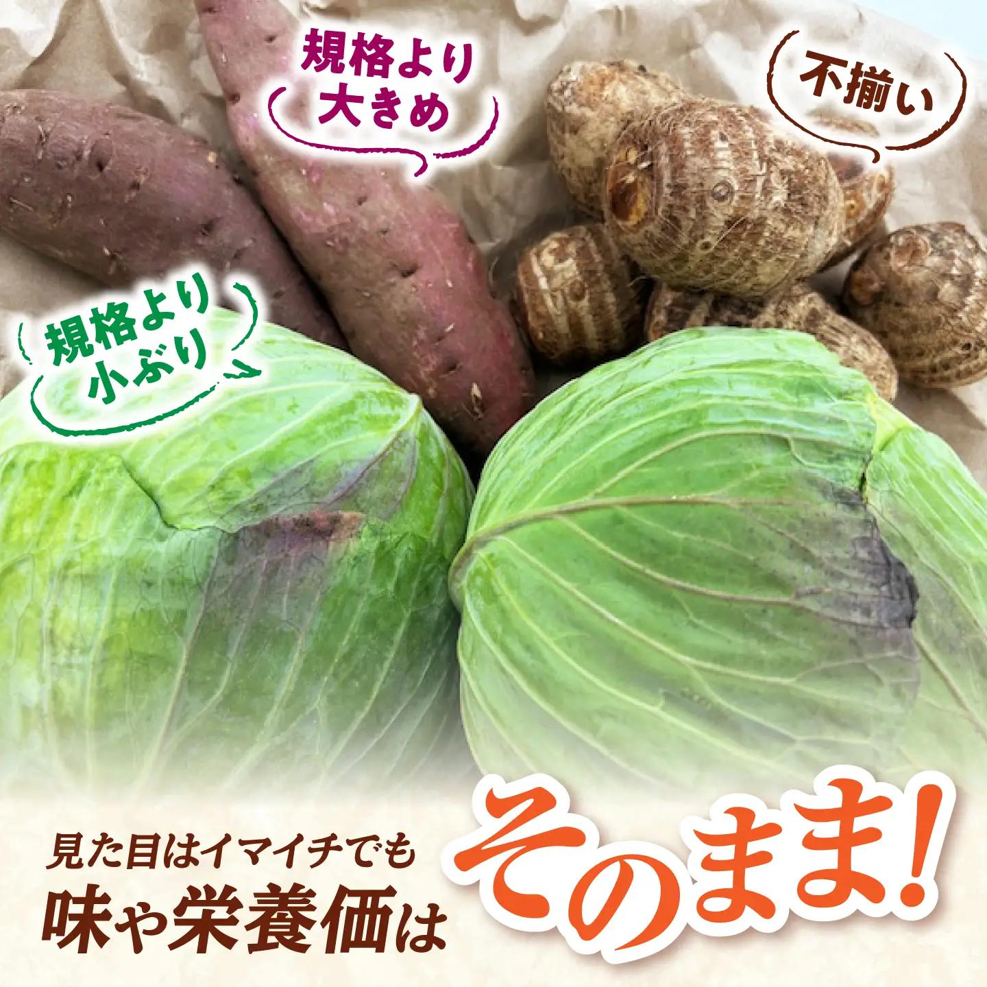 【先行予約】【2026年11月上旬順次発送】【訳あり】こだわり野菜3種（さつまいも・里芋・キャベツ）詰合せ 計4kg 島根県松江市/フジキコーポレーション株式会社[ALDS030]