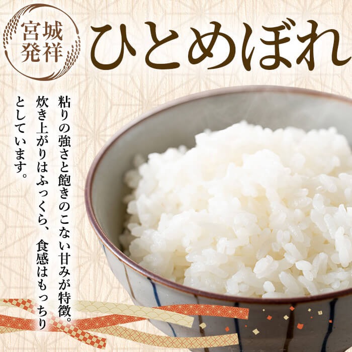 【令和7年産】＜6か月定期便＞特別栽培米 ひとめぼれ 5kg×6回(合計30kg) お米 おこめ 米 コメ 白米 ご飯 ごはん おにぎり お弁当 頒布会【農事組合法人若木の里】ta541