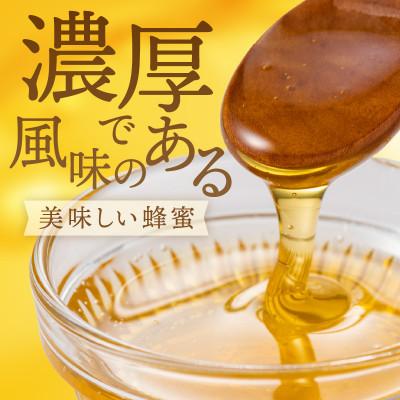 ふるさと納税 京丹後市 【京都 京丹後産】 非加熱　純粋天然はちみつ 300g　百花ハチミツ |  | 01