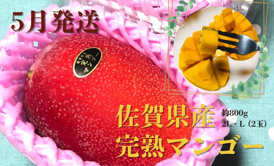 
                  ＜5月発送＞佐賀県産マンゴー約800g 2L・L (2玉)
                
