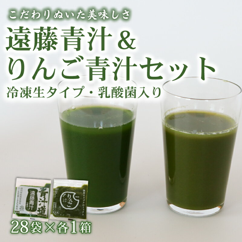 【ふるさと納税】 遠藤青汁とりんご青汁 生 冷凍 各28袋×2種セット 計5.6kg 100g × 56袋 健康 美容 乳酸菌 国産 ケール ビタミン ミネラル 食物繊維 冷凍 ロングセラー お試し青汁 遠藤青汁 新鮮 高知県 南国市