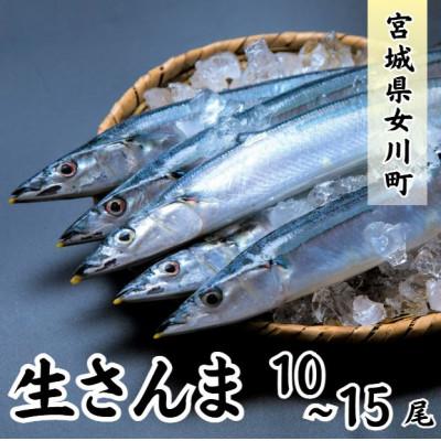 ふるさと納税 女川町 生さんま　10〜15尾