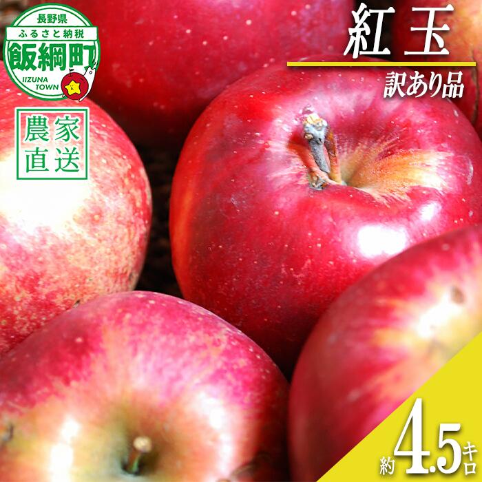 【ふるさと納税】 りんご 紅玉 4.5kg 訳あり アグリファーム小林 沖縄県への配送不可 〔 果物 フルーツ 林檎 長野 予約 農家直送 不揃い 規格外 13000円 〕【令和7年度収穫分】 発送：2025年10月上旬〜