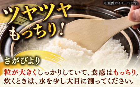 佐賀県産さがびより 4.5kg 化粧箱入 / お米 精米 ブランド米 ふるさと納税米 /  佐賀県/さが風土館季楽[41AABE042]