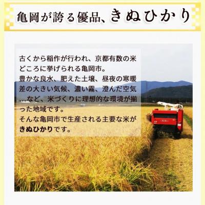 ふるさと納税 亀岡市 【令和7年産】無洗米 京都丹波産 キヌヒカリ 5kg※お申込後精米 |  | 01