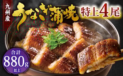 九州産 うなぎ 蒲焼 特上4尾 計880g以上 (1尾あたり220～235g)【2025年10月発送】