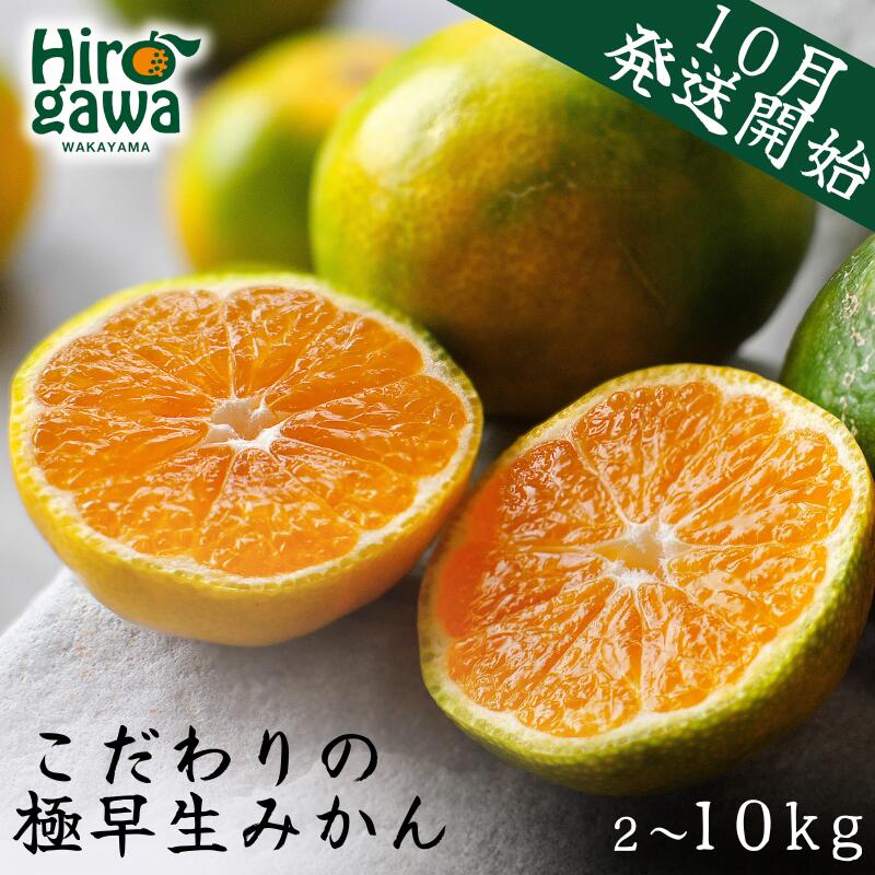 【ふるさと納税】 極早生 みかん 家庭用 / 極早生みかん 温州みかん 甘い 家庭用 和歌山 柑橘 5kg 10kg 6000円 9000円 ※2026年10月上旬～11月上旬順次発送 ※北海道・沖縄・離島への配送不可 //goku
