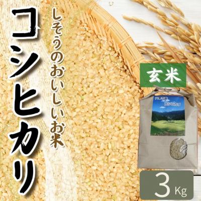 ふるさと納税 宍粟市 【令和7年産】しそうのおいしい お米　コシヒカリ 玄米3Kg　K9