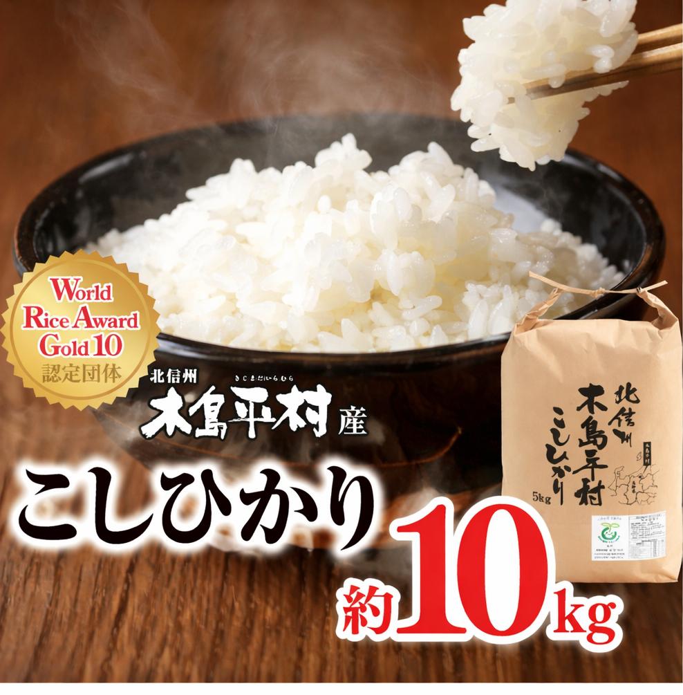 木島平産 特別栽培米 こしひかり 約10kg | 米 白米 精米 特別栽培米 コシヒカリ こしひかり お米 おこめ 減農薬 長野県 木島平村 信州