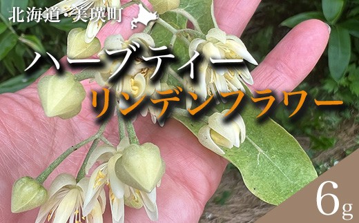 
            ハーブティー リンデンフラワー | リラックス ギフト プレゼント おすすめ ティーパーティー ポット チカラノハーブ [009-37]
          