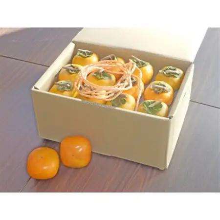 吊るし柿用 生渋柿 ひもセット【 T字軸枝付 or吊るしクリップ付】 約20～30果、4.5～5kg【1293796】