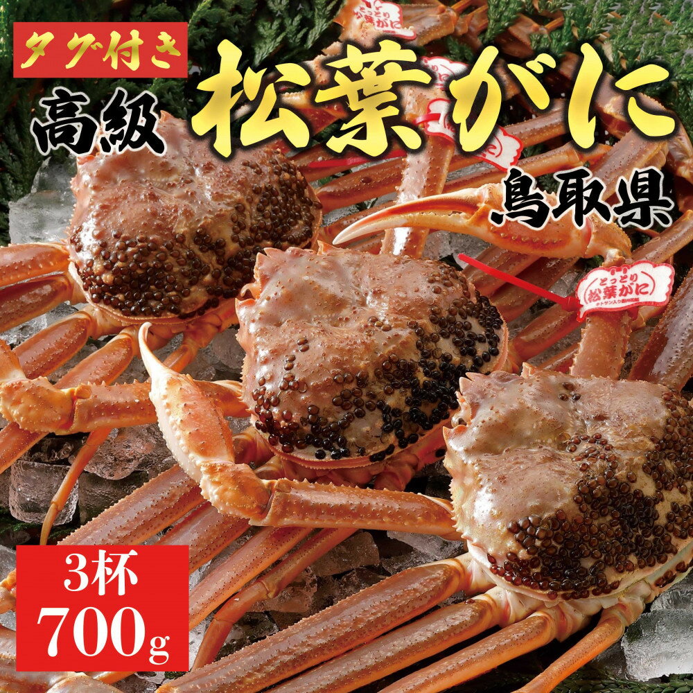 【ふるさと納税】【2026年11月発送】特撰 松葉がに（なま）【ブランドタグ付き】700g超のサイズ 3杯