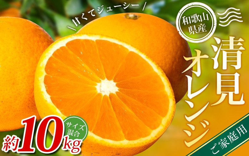 
            【家庭用】 森本農園の手選別 清見オレンジ 約10kg 和歌山県産 サイズ混合 ※2026年2月上旬～5月中旬頃順次発送 / きよみ 清見 柑橘 ご家庭用 期間限定 由良町 果物 フルーツ 和歌山県【mrmt039A】
          