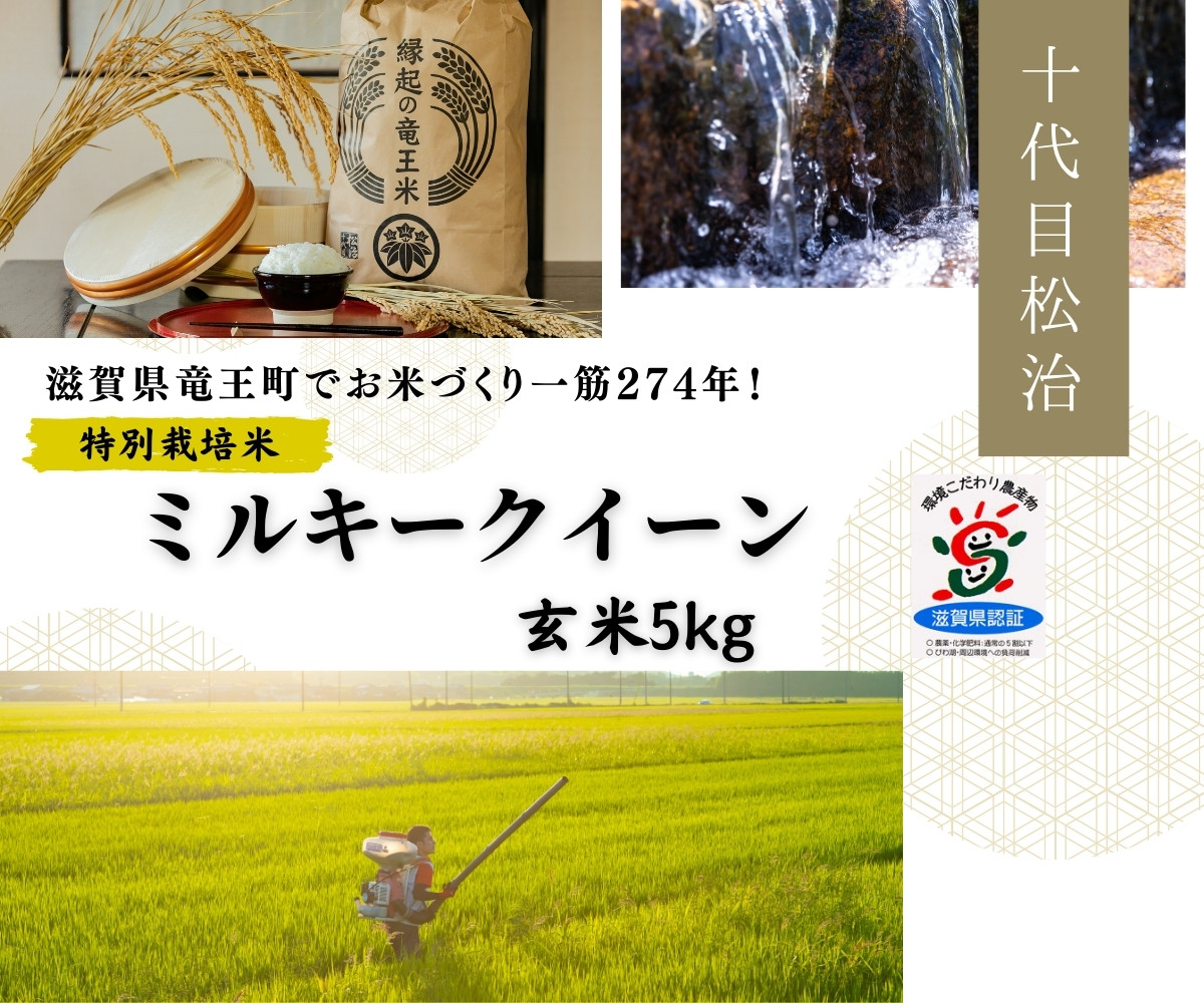
            新米 【 数量限定 】ミルキークイーン 玄米 5kg 縁起の竜王米 ( 令和7年産 新米 玄米 5kg お米 おこめ ごはん 米 特別栽培米 ブランド米 ライス こだわり米 ギフト 国産 縁起の竜王米 滋賀県竜王町 )
          