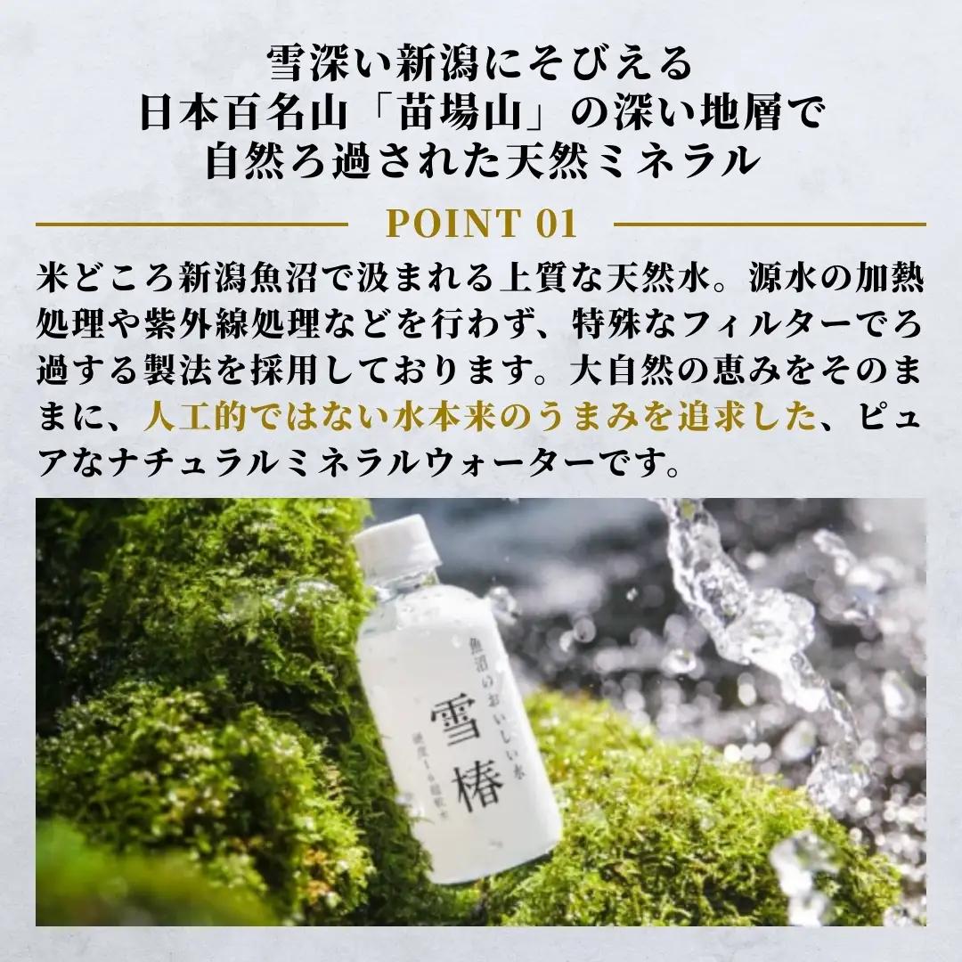 天然水 雪椿 2L×6本|津南町 天然水