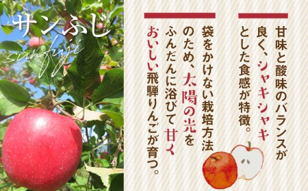 【12月~1月上旬発送】《令和8年産》りんご 訳あり 5kg / 果物 フルーツ 黒内果樹園 [DI030-26]