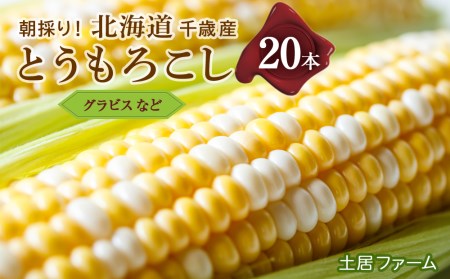 2025年夏発送 とうもろこし 20本セット（グラビス等）【土居ファーム】
