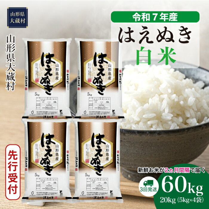 【ふるさと納税】＜令和7年産米先行受付＞ 大蔵村 はえぬき ＜白米＞ 60kg定期便（20kg×3回お届け）
