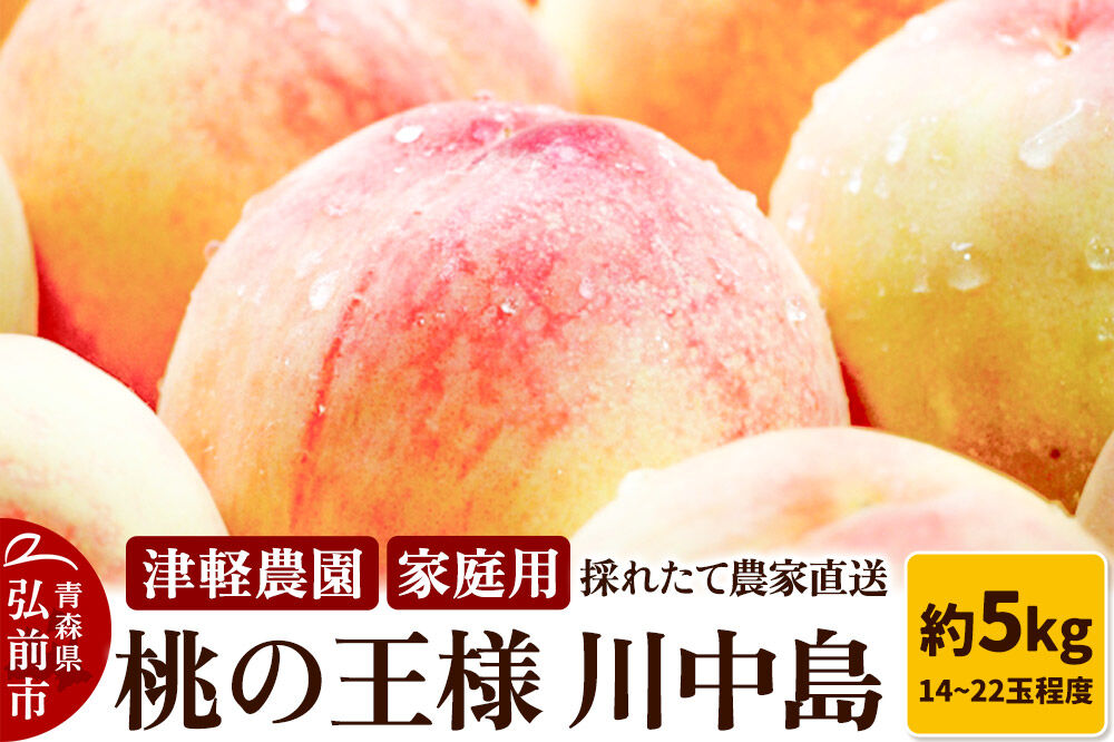 【26年8月発送】桃 約5kg(14～22玉程度) 青森【2026年産 桃の王様 川中島】もも 家庭用 果物 フルーツ くだもの 津軽農園 採れたて 農家直送 [おいしい ピーチ フルーツ もも 果実
