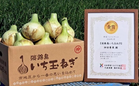 【野菜ソムリエサミット金賞】淡路島新玉ねぎ10kg【仲田青果の淡路島いち玉ねぎ】　◆配送3月上旬～5月下旬