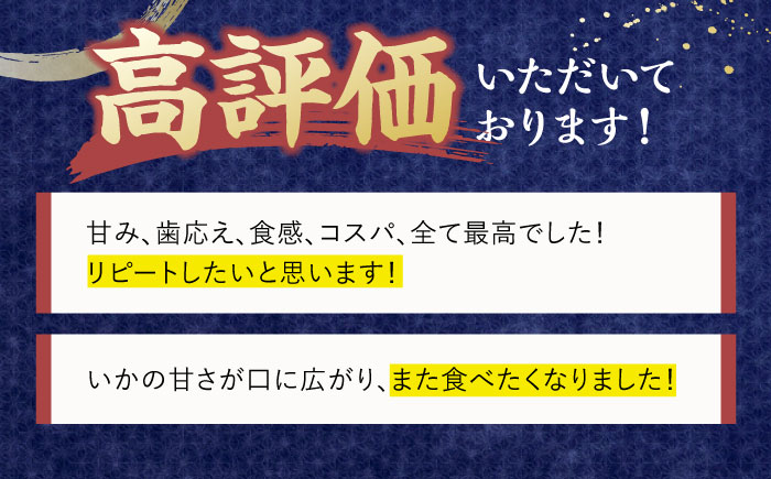 【全6回定期便】【着日指定 可能】【美味しさそのまま瞬間冷凍】平戸極鮮ヤリイカ 約1kg 平戸市 / 海隆丸 [KAB268]