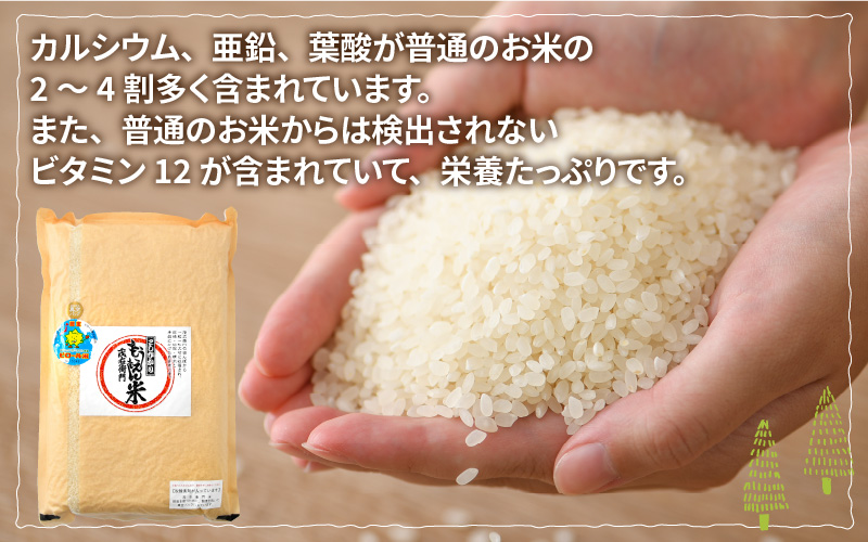 【新米・先行予約】【令和4年産】ピロール農法 コシヒカリ 白米 5kg（5kg × 1袋）真空パック【10月以降順次発送】