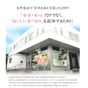 【矢野畜産】熊本県産褐毛和種（あか牛）切り落とし500g～阿蘇の自然の宝物～