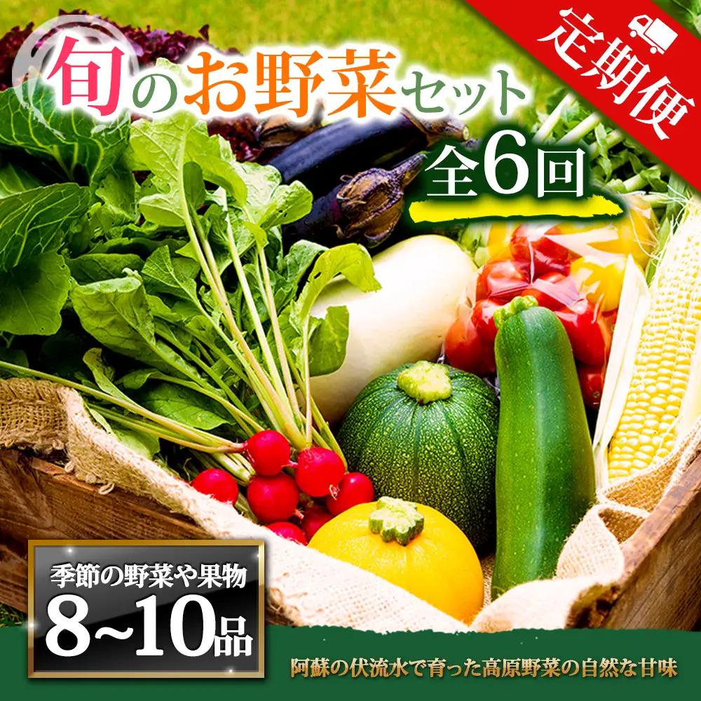 【定期便 全6回】畑から直送  季節のお野菜セット Lサイズ 