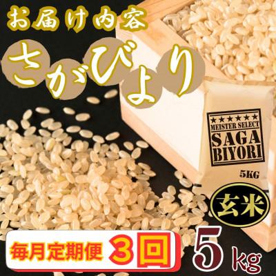 ふるさと納税 伊万里市 【毎月定期便】【玄米】さがびより5kg【特A評価】《マイスターセレクト》(伊万里市)全3回 |  | 03