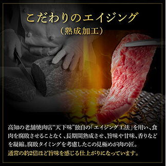 TKA221　天下味 エイジング工法 熟成肉 土佐和牛 特選ヒレ 牛 サイコロステーキ 500g×4 合計2kg エイジングビーフ ヒレ フィレ 国産 肉 牛肉 和牛 人気老舗焼肉店 冷凍 新鮮 真空