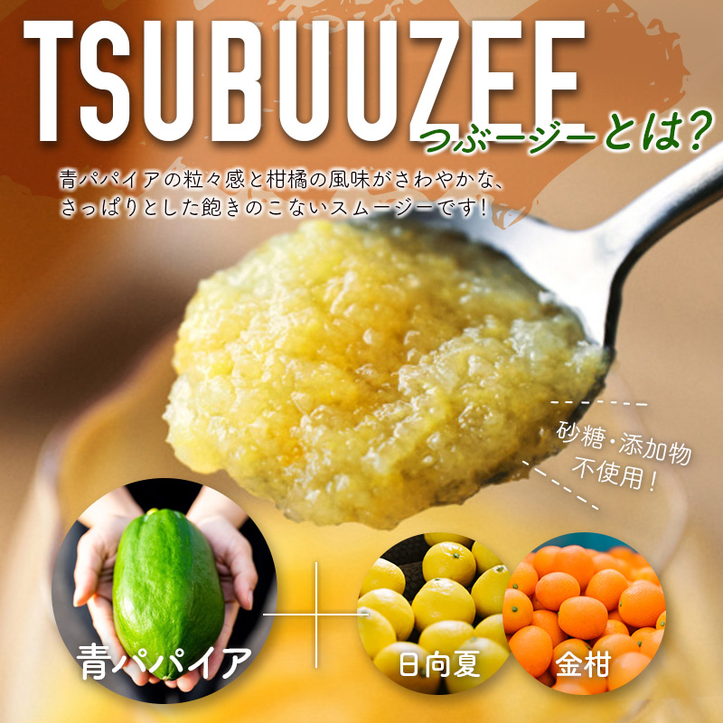 青パパイアスムージー 2個入 MIYAZAKI GREEN PAPAYA TSUBUUZEE ～青パパイアの粒々とフレッシュな柑橘の味わい～［お試し版］【A247】