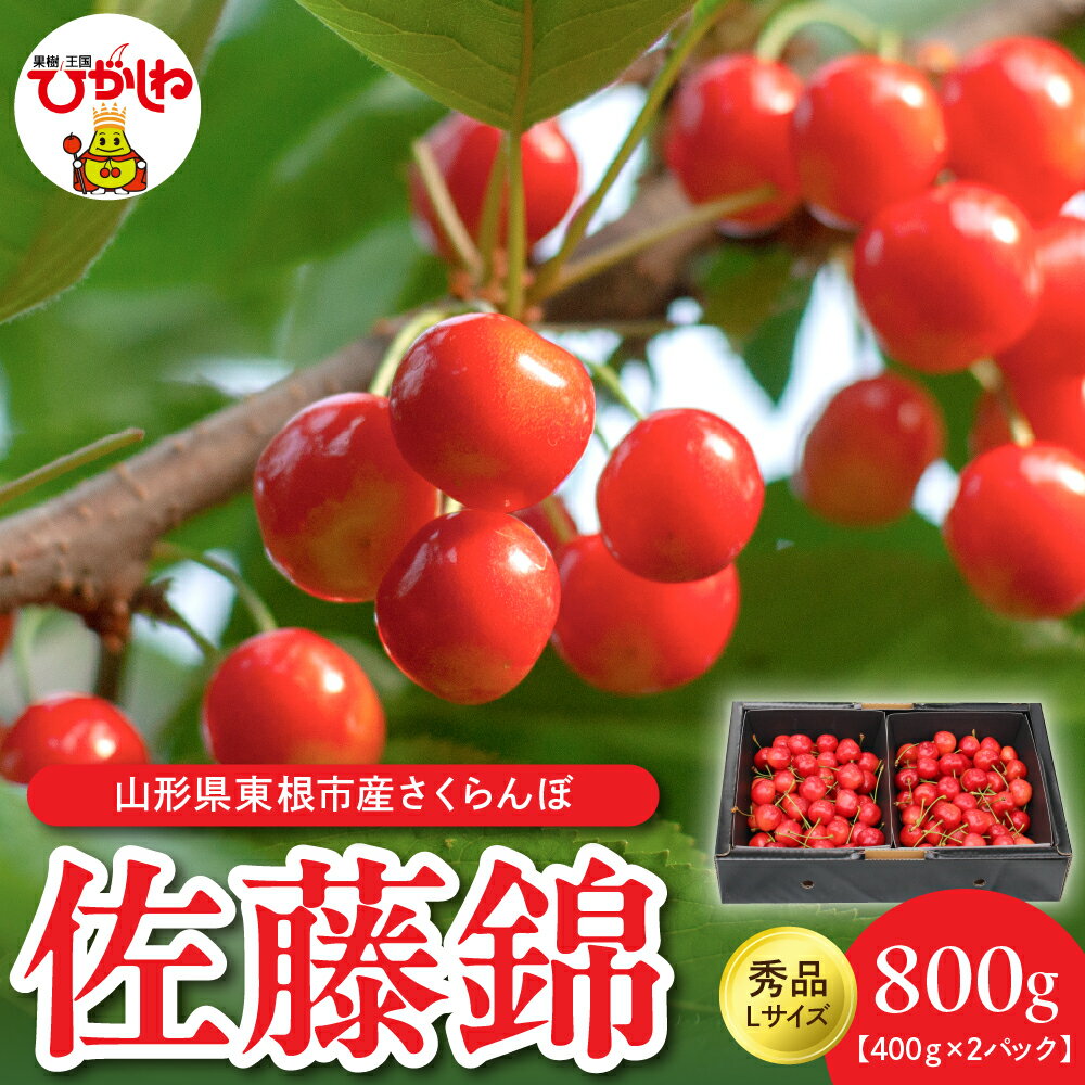 【ふるさと納税】 2025年産 さくらんぼ「 佐藤錦 」400g × 2P 秀品 Lサイズ / サクランボ チェリー フルーツ 果物 くだもの 箱入り 冷蔵配送 先行予約 お取り寄せ グルメ ご当地 特産 産地 直送 送料無料 山形県 東根市