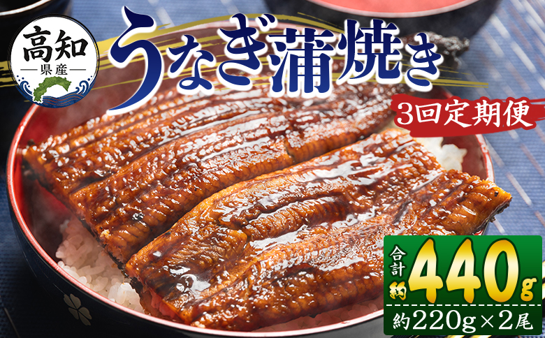 【３回定期便】高知県産養殖うなぎ蒲焼き 約220g×2尾 うなぎ 魚介 国産 海鮮 魚 かばやき 鰻 ウナギ 惣菜 おかず お手軽 加工品 加工食品 冷凍 Wfb-0062