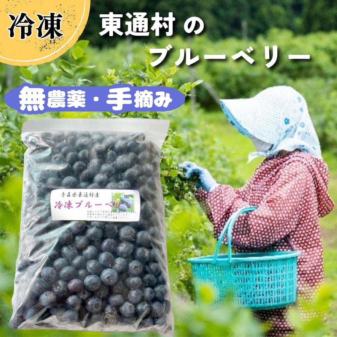 【ふるさと納税】冷凍ブルーベリー（2kg）