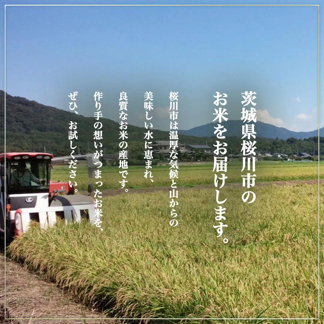 《 令和8年産 》 桜川市産 ミルキークイーン 5kg 新米 先行予約 茨城県 桜川市 米 お米 白米 コメ ごはん 精米 国産 限定 銘柄米 [SC071sa]