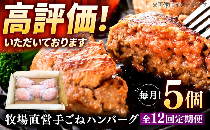 【12回定期便】牧場直営店の手作りハンバーグ（140g×5個）【川?ｱ畜産】お肉 [IAX059]