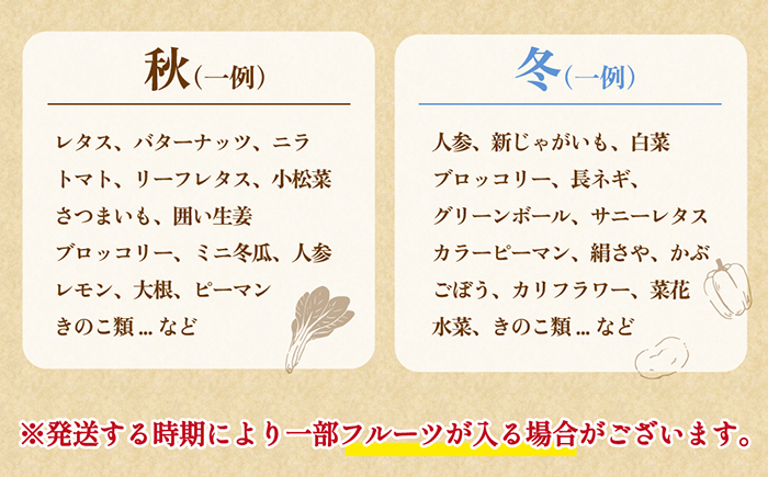  野菜 定期便 やさい 定期便 野菜セット やさいセット 春野菜 夏野菜 秋野菜 冬野菜 旬新鮮