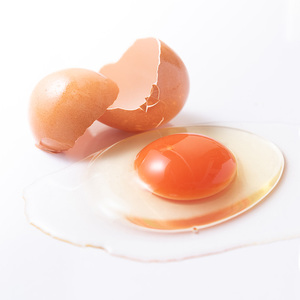 中村農場　八ヶ岳卵40個セット [h024]
