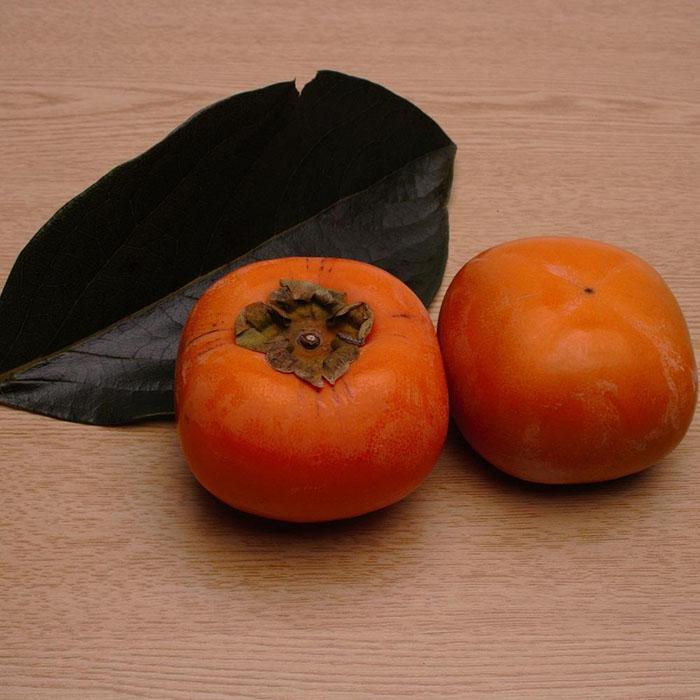 ＜10月より発送＞たねなし柿 約2.5kg［刀根早生・平核無柿（ひらたねなしかき）］［カキ・種無柿・種無し柿・種なし柿・無核柿］［IKE95］