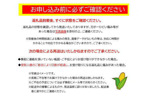 とうもろこし 甘い 菜の花こーん 2026年 朝採れ 極甘 8～10本 A3L～A2Lサイズ 高糖度 濃厚 生食 産地直送 朝 もぎたて トウモロコシ 新鮮 サラダ 生野菜 野菜 スイートコーン コーン toumorokoshi 焼きとうもろこし BBQ ギフト 贈答品 岩手県 一関市 東北【2026年7月下旬から発送中】