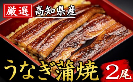 極上！国産うなぎ蒲焼 2尾  じっくり焼き上げた専門店の味 / うなぎ ウナギ 鰻 蒲焼 国産 ふるさと納税